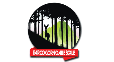 Stemma Paco Naturale Corno Alle Scale