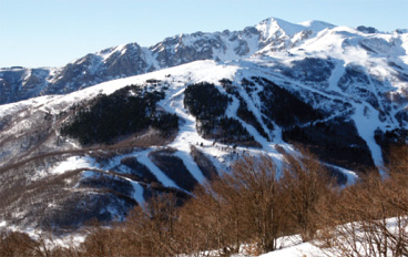 GARESSIO-2.jpg