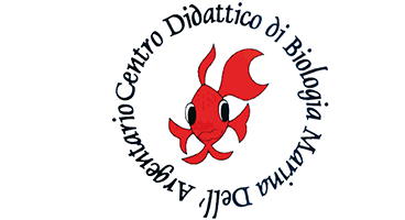 ACQUARIO MEDITERRANEO DELL'ARGENTARIO - Porto Santo Stefano Monte Argentario (GR)