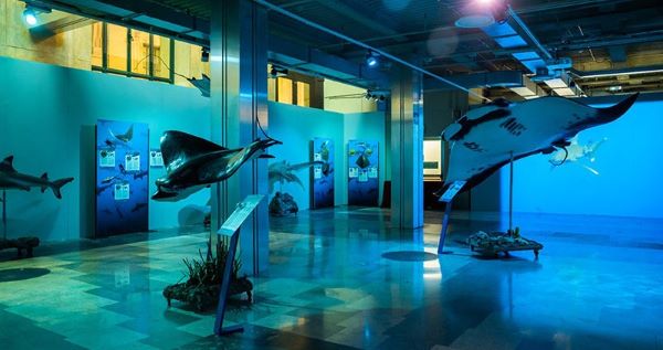MOSTRA SQUALI E ABISSI - Stazione Centrale (MI)